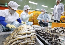 영광굴비 가공공장 찾은 조국 대표