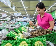 농협유통, 가을 제철 토란 판매
