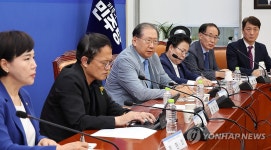 민주당 의료대란대책특위에서 발언하는 전이양 완도대성병원장