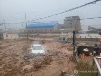 울릉에 많은 비…산 사면 붕괴·토사 유출로 곳곳 통제