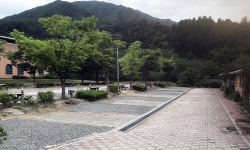 가평 연인산 캠핑장에 반려견 전용 숙박시설 조성된다