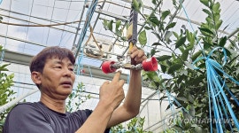 무인 농약 살포기 설명하는 강명수 대표