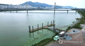 낙동강 하구 부산 화명수상레포츠타운 녹조 관심단계로 완화