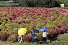 가을 찾아 온 임진강