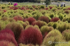 가을 찾아 온 임진강