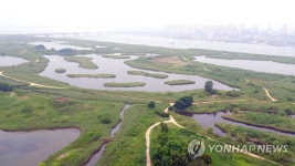 낙동강하구를 국가도시공원으로… 부산시민본부 출범