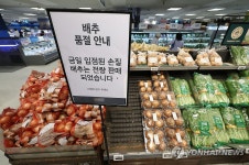 배추 품절