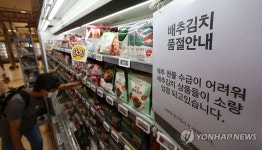 배추수급 문제 대형마트 김치 품목 소량 입점