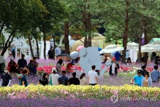 인제에서 꽃길만 걷자