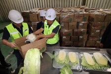 중국 수입 배추 점검