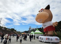 횡성한우축제 이틀째…방문객으로 북적