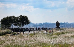 공휴일 하늘공원 찾은 시민들