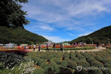인제에서 꽃길만 걷자