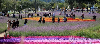 인제에서 꽃길만 걷자
