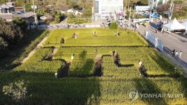 의좋은 형제 축제 볏짚 미로