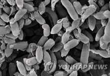 미생물을 의약품으로…생균치료제 주목