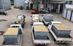 추곡 수매로 분주한 미곡종합처리장