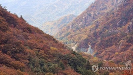 가을옷으로 갈아입는 한계령