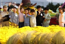 강진만 춤추는 갈대축제…가족 체험 행사 가득