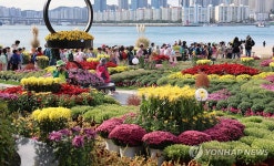 가을 정취 물씬 풍기는 국화꽃밭