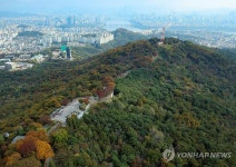 남산에 찾아든 가을