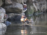전북야생동물구조센터, 겨울 철새 관찰행사 참여자 모집