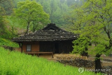 삼척해변에 너와집 형태 너와 포차거리 연다