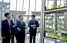 재일조선사회과학자대표단 평양 강동종합온실농장 참관