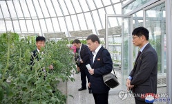 재일조선사회과학자대표단 평양 강동종합온실농장 참관