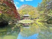 울긋불긋 가을 찾아온 백양사