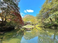 단풍 물들어가는 백양사의 가을