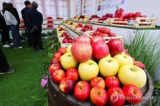 경북사과 홍보행사 서울광장서 열려
