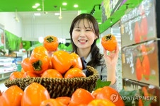 농협유통, 달콤한 대봉시 드시고 건강한 겨울 보내세요