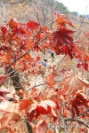 가을 산행