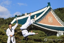한체대 태권도 시범단의 위대한 태권도 in 청와대
