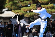 한체대 태권도 시범단의 위대한 태권도 공연