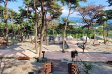 도심 소나무 숲에서 캠핑…남원 교룡공원에 야영장 개장