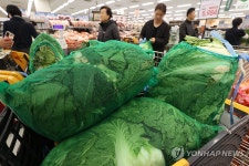 배추 가격 안정세 전망