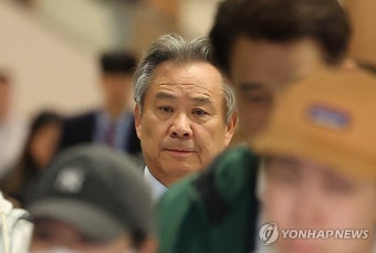 '직무 정지' 이기흥 대한체육회장 귀국