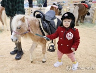 즐거운 승마 체험