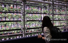 이게 바로 스마트팜