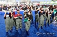 맨손으로 방어 잡는 최남단 방어축제 서귀포서 28일 개막