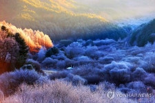자연이 그린 수채화