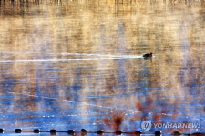 고요한 아침 호수