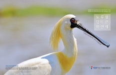 서천지속가능발전協 노루섬 덩치 큰 하얀 새 책자 제작