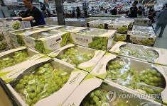 음성 샤인머스캣 대만으로 첫 수출