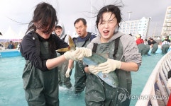 최남단 방어축제 개막