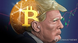 美비트코인 ETF로 돈 몰린다…트럼프 당선후 순유입 100억달러 육박