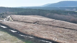 비상계엄 사태 여파로 한산한 제주 대표 관광지