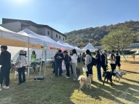 반려동물과 쉬다 가세요…합천 멍스테이 한 달 600명 방문